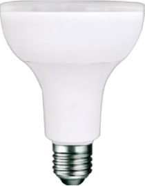 Beautiful Light Technology Corp.